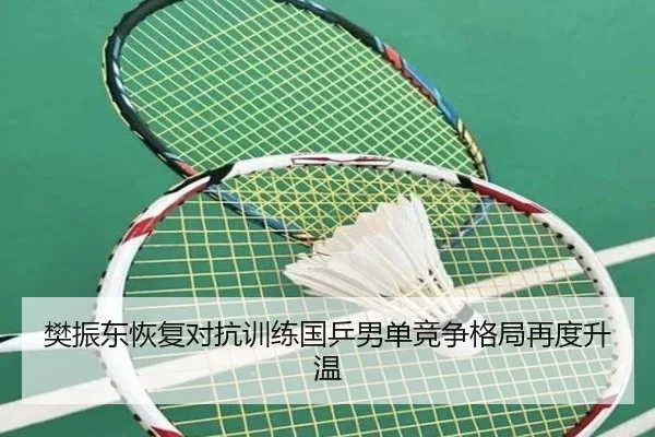 樊振东恢复对抗训练国乒男单竞争格局再度升温