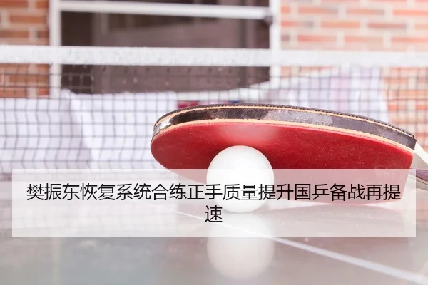 樊振东恢复系统合练正手质量提升国乒备战再提速